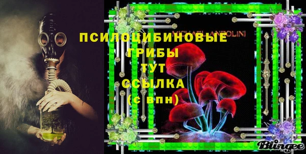 шишки Алексеевка