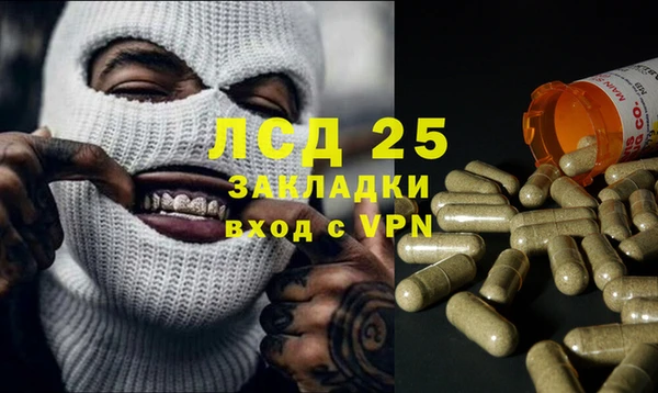 шишки Алексеевка