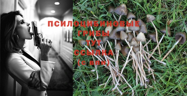а пвп мука Абаза