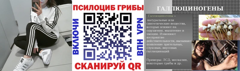 Галлюциногенные грибы прущие грибы  Анапа 