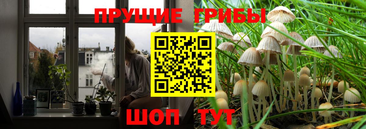 Псилоцибиновые грибы GOLDEN TEACHER  Вход с VPN  Галлюциногенные грибы Cubensis  Анапа 