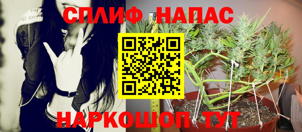 Каннабис планчик Анапа